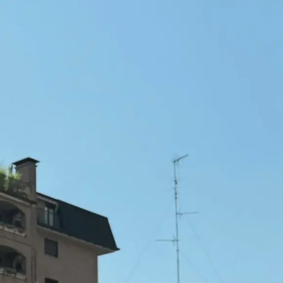 VitalTruck9829의 오해원