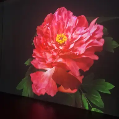 Profile image of 신민재