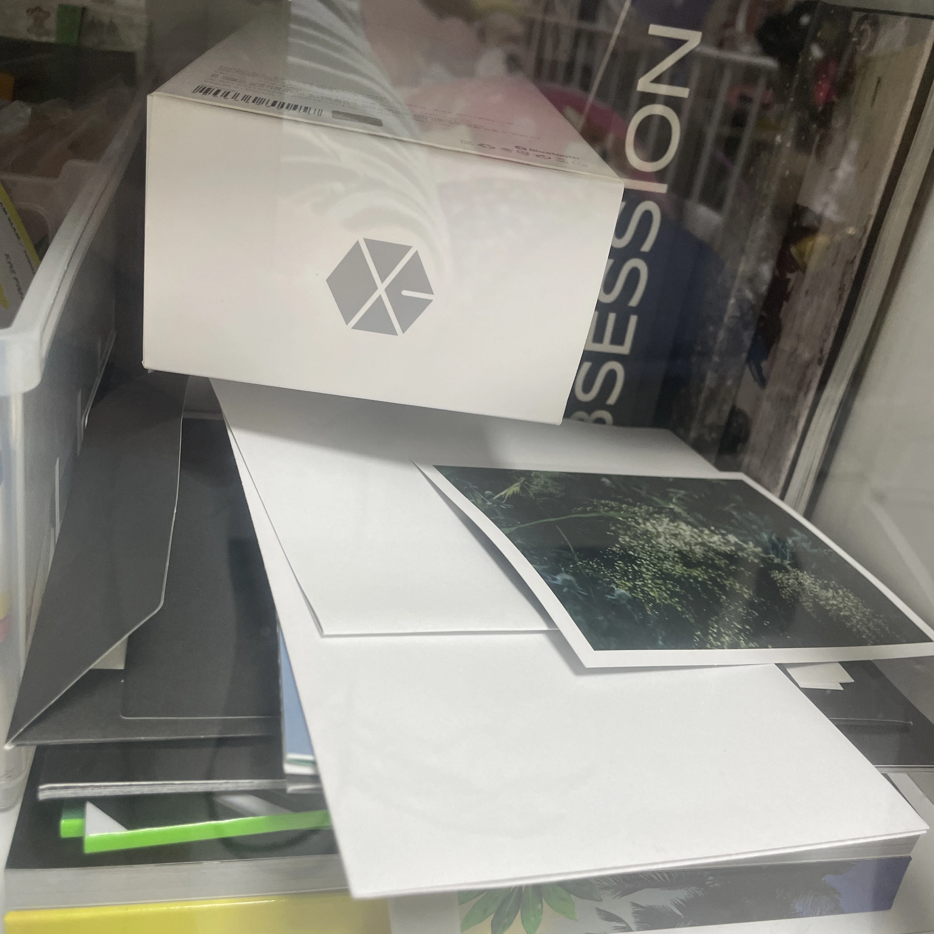 김종인