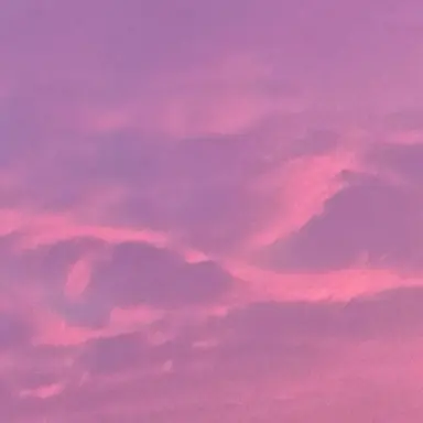 Profile image of 스카라무슈