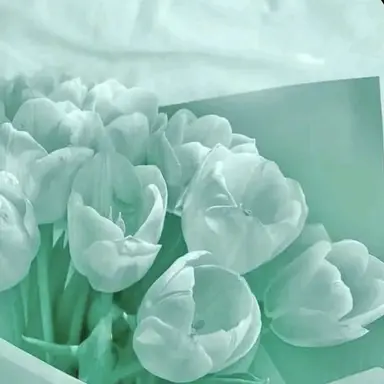 Profile image of 예엥