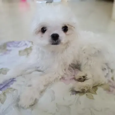 Profile image of 밀크