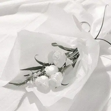 Profile image of 하얀꽃