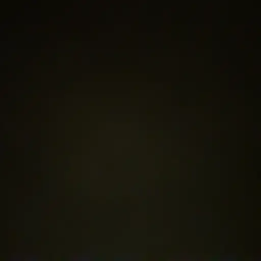 _SVT의 오빠 젅웑우
