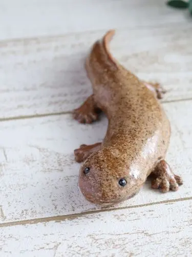 Saradamaki의 Salamander