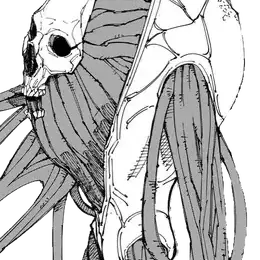 Profile image of 直哉