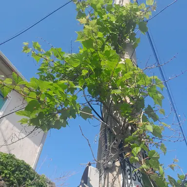 Profile image of 덕경위