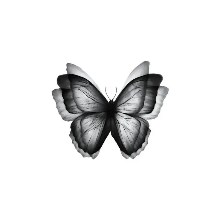 Error-ErRor-.의 예술가