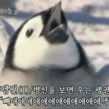 kini_fun11의 없어