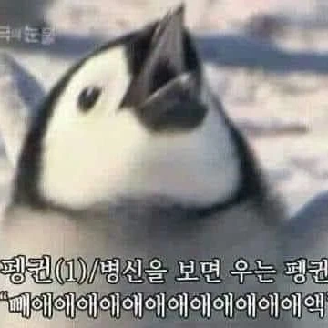 없어