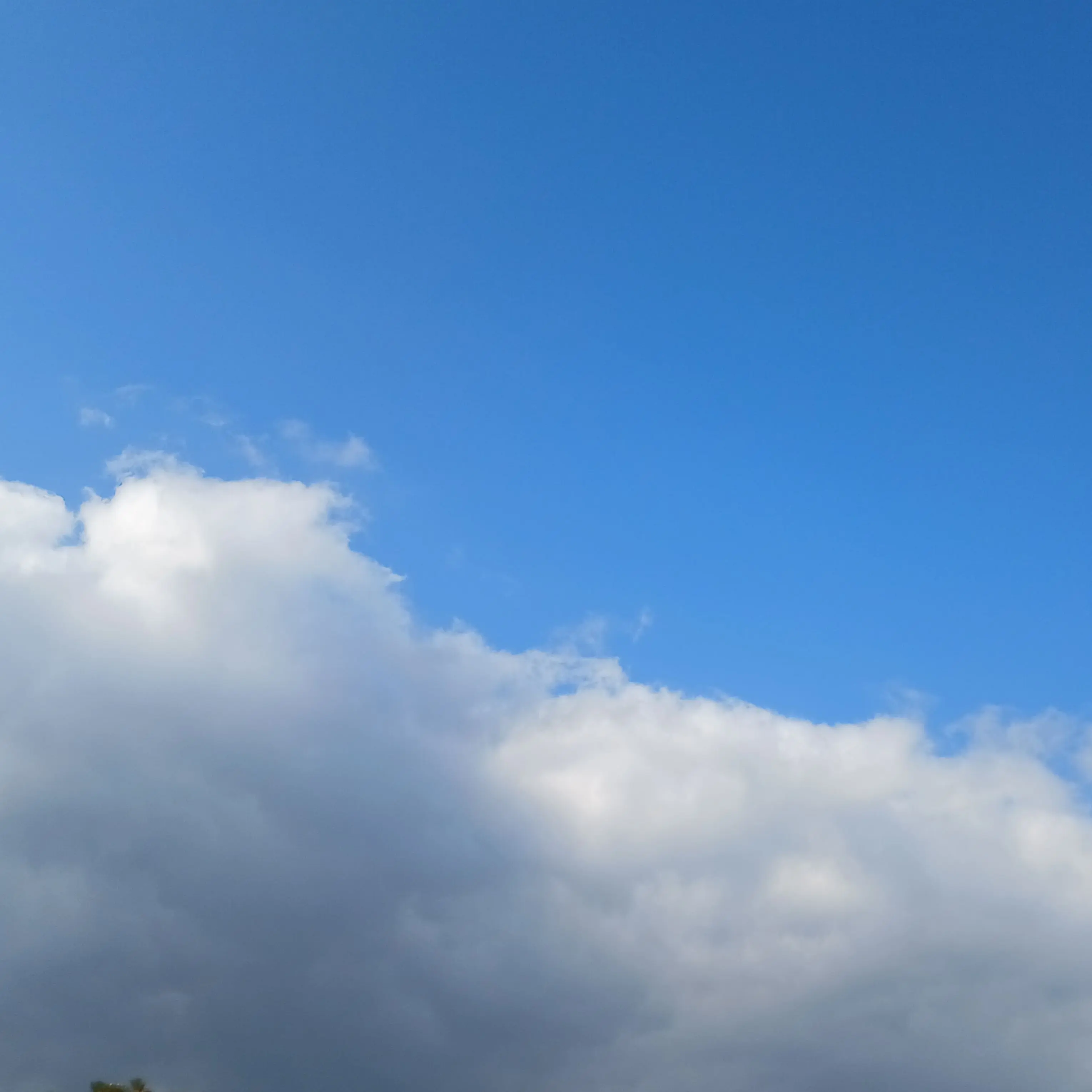 Haru1740의 권태기 온 평학