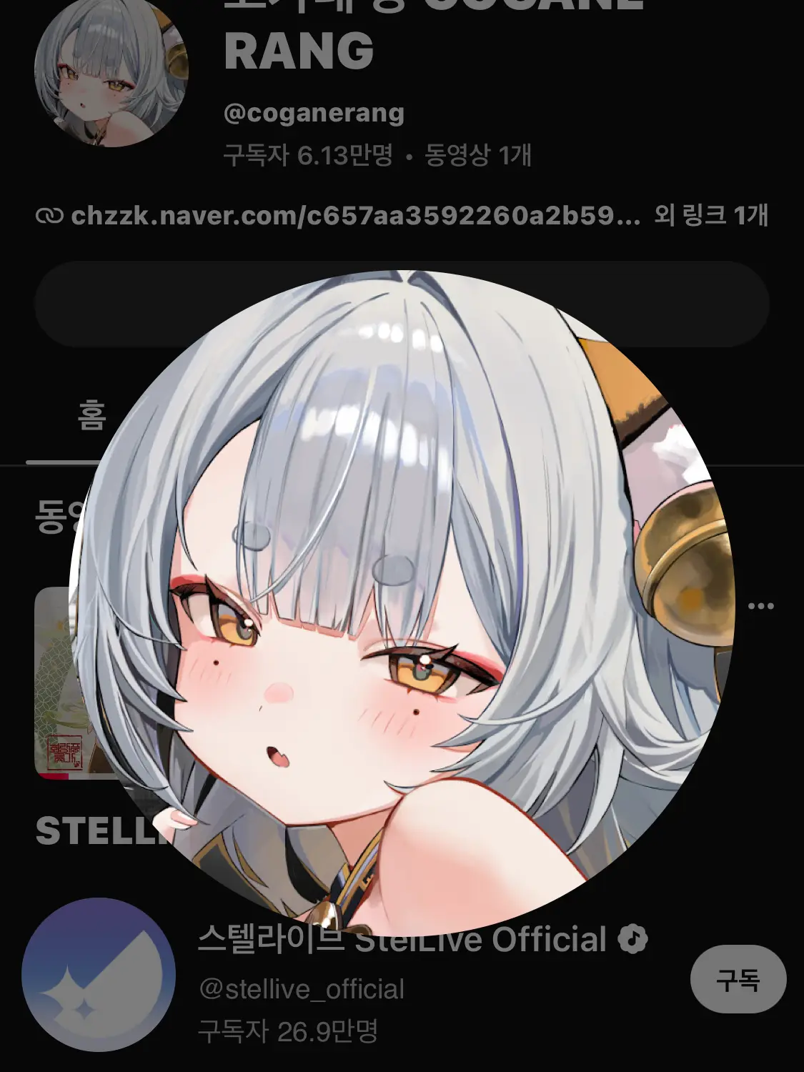 ASD12346789의 인간을 싫어하는 영물호랑이를 만났다?