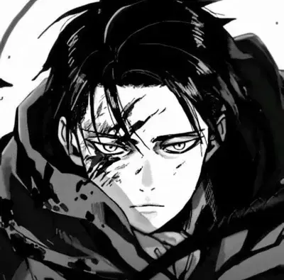 MildTotem4336의 Levi Ackerman