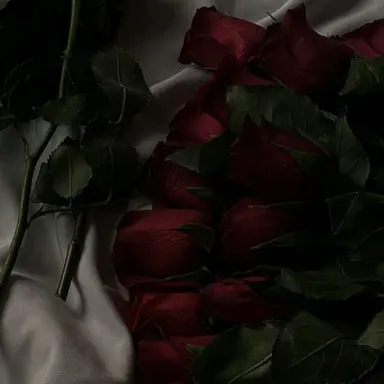 Profile image of 서라더