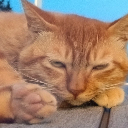 이수한