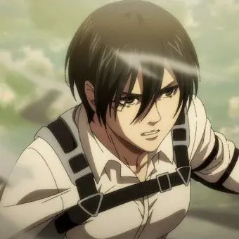 Profile image of 미카사