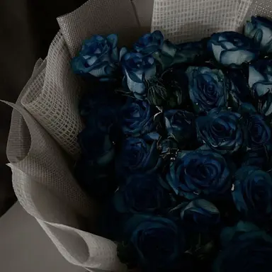 Profile image of 유지민