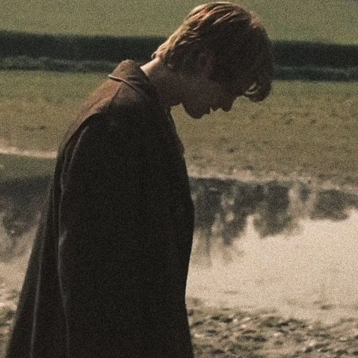 suis0607의 리무스 루핀