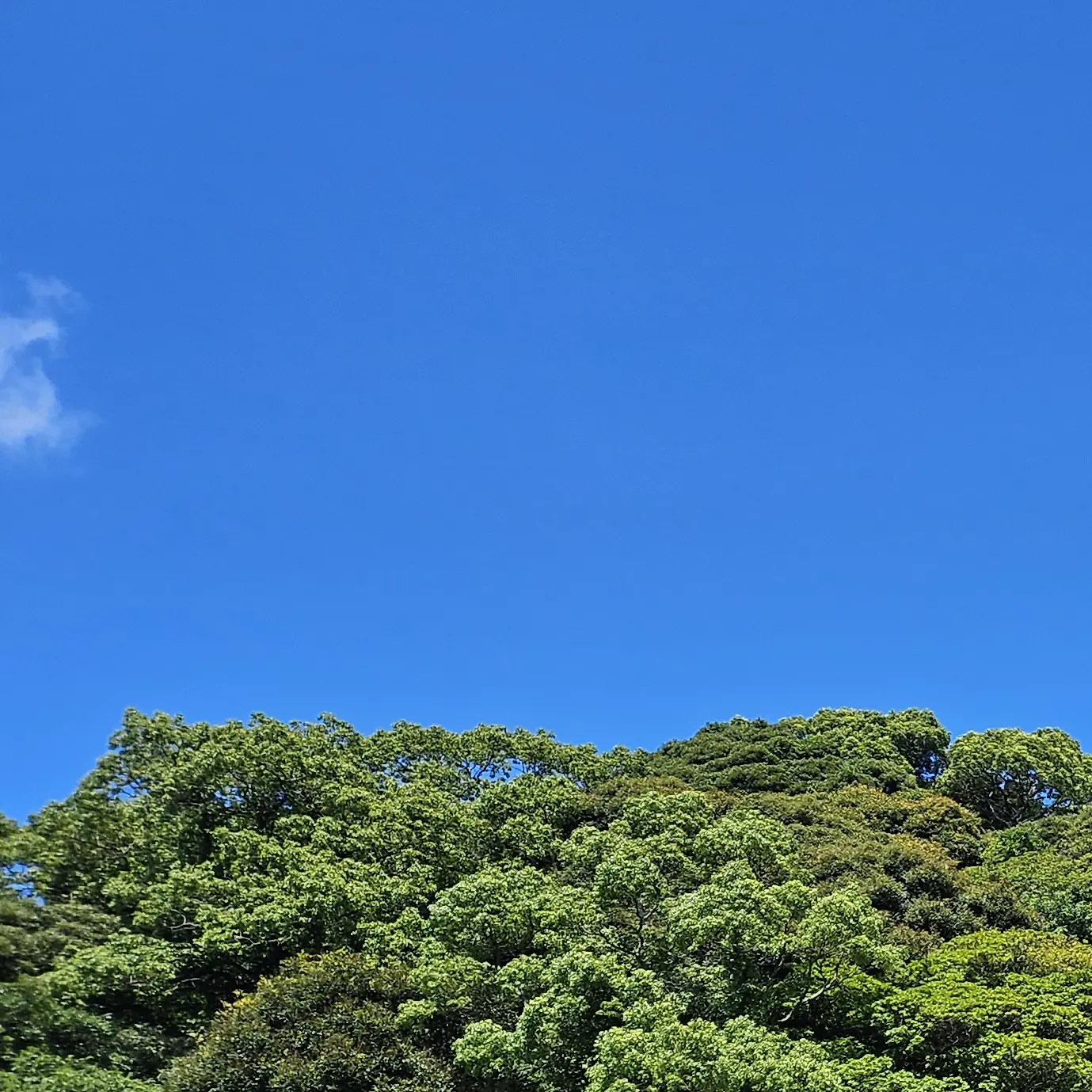 IdealPest6104의 ミンギュ…///