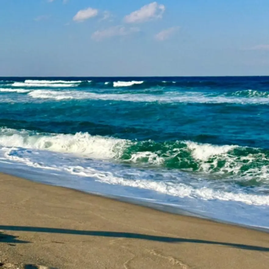 likeoceanfish의 정신병원의 그녀들