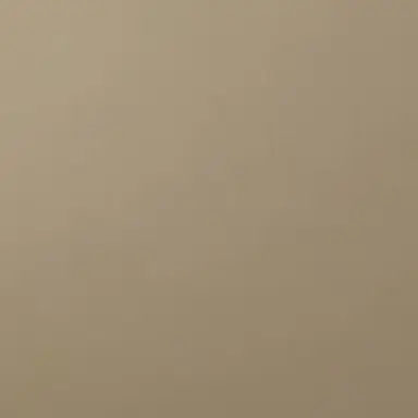 Profile image of 최수지