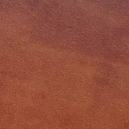 NewFocus3564의 生きる