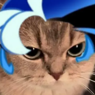 Profile image of 쉐냥이