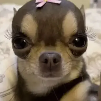 Profile image of 남여우