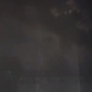 Profile image of 쮸디
