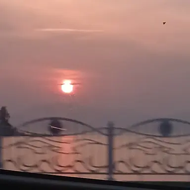 Profile image of 팔코