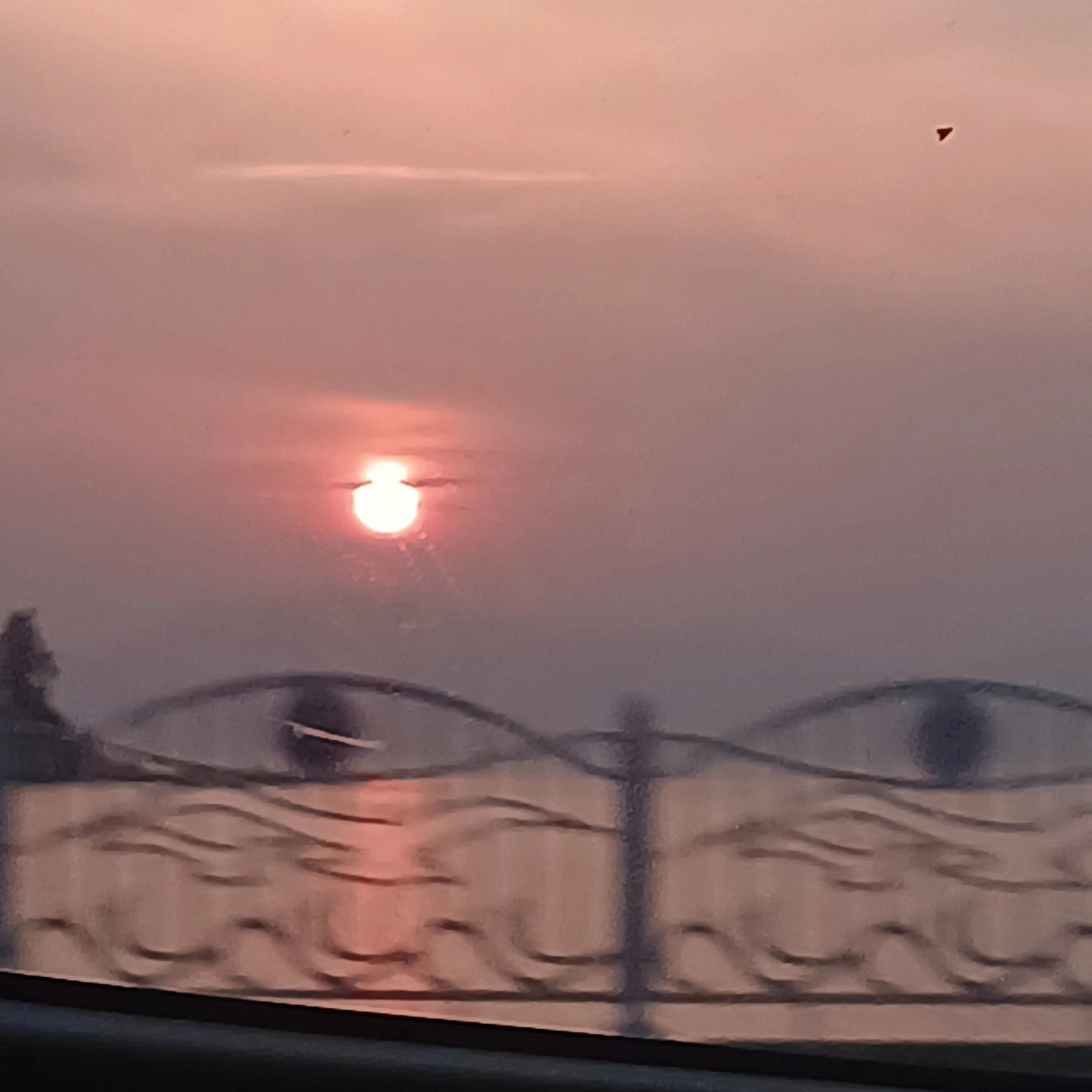 ShinySleet2573의 슬라바요세