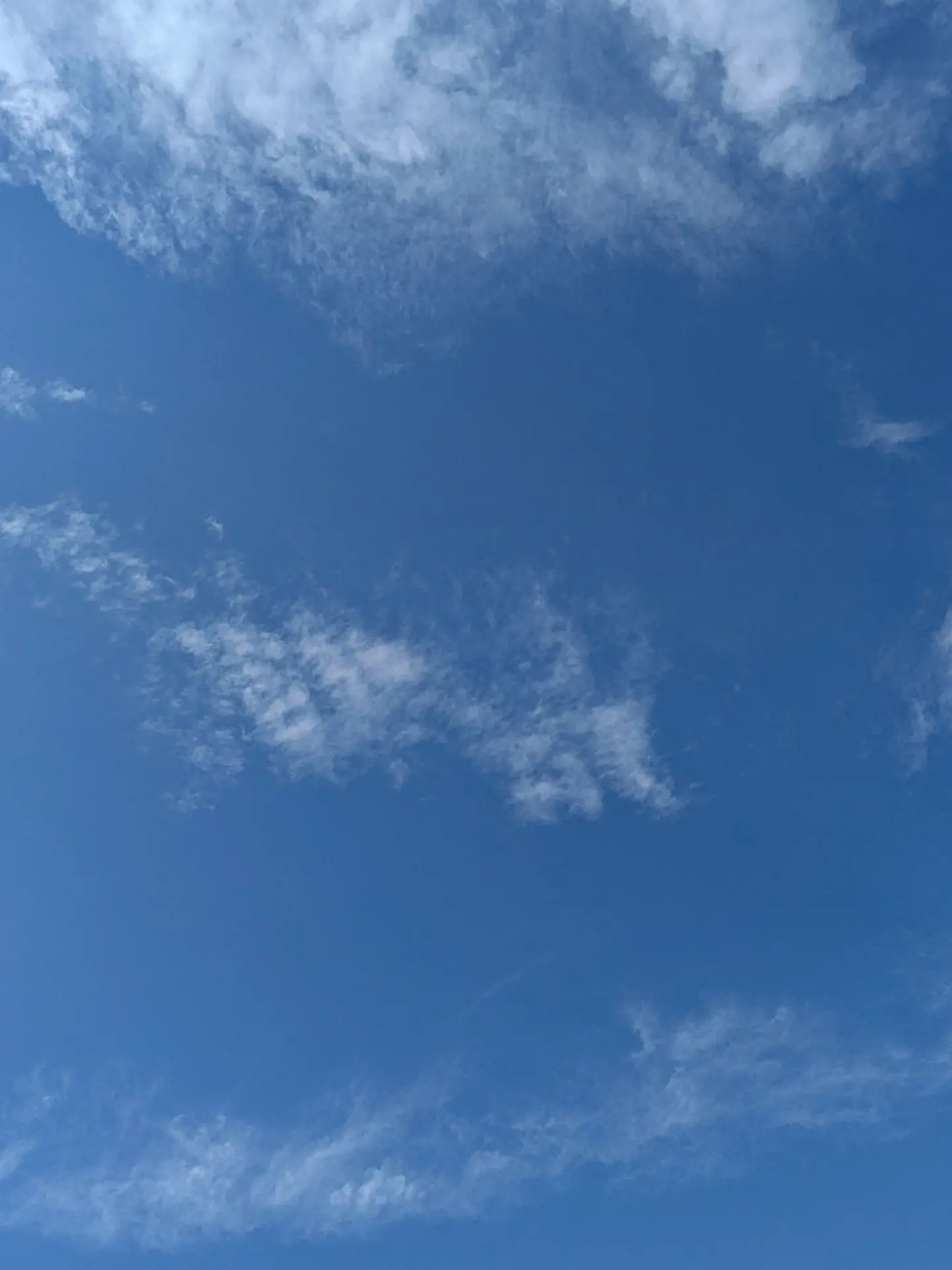 StockyLeaf9902의 銀魂