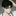 최이현