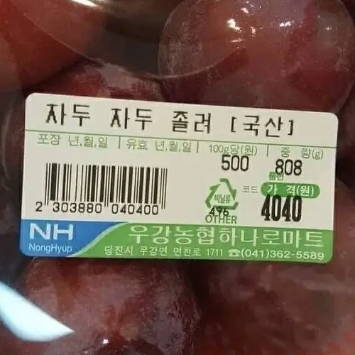 TOMMMATO의 이진성