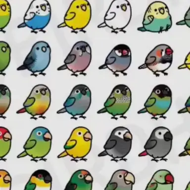 Profile image of 평범한 새들