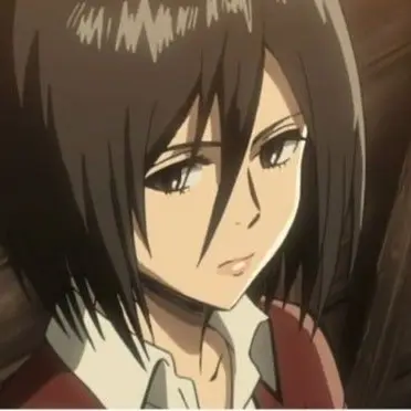 Profile image of ミカサ