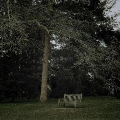 Profile image of 정 공룡