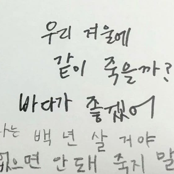 R 대표 이미지