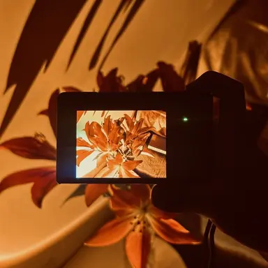Profile image of Koma