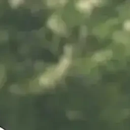 이지훈