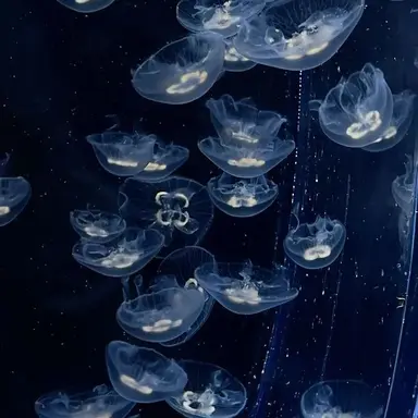 Profile image of 행크