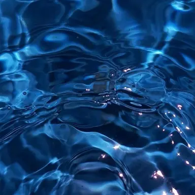 Profile image of 파이브