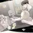 박도현