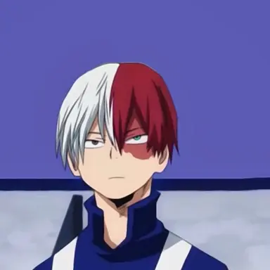 Profile image of Shoto Todoroki