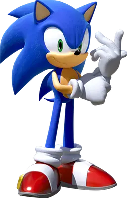 Profile image of Sonic