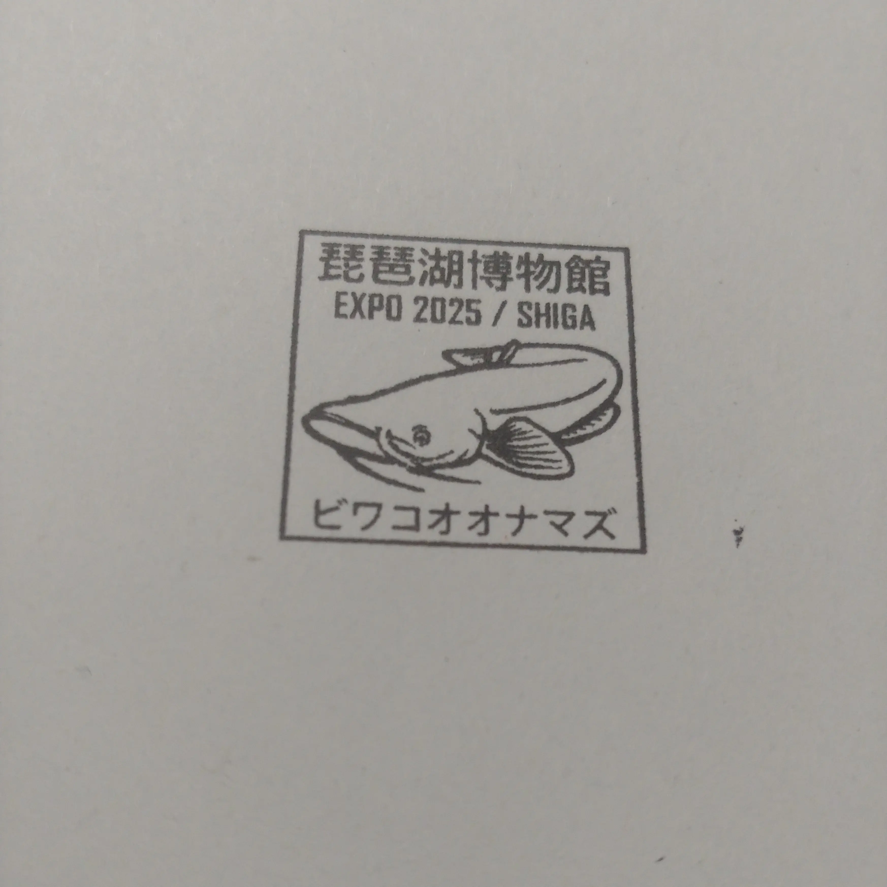 REALITY의 えっ?お前まじで?