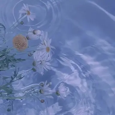 Profile image of 잠뜰