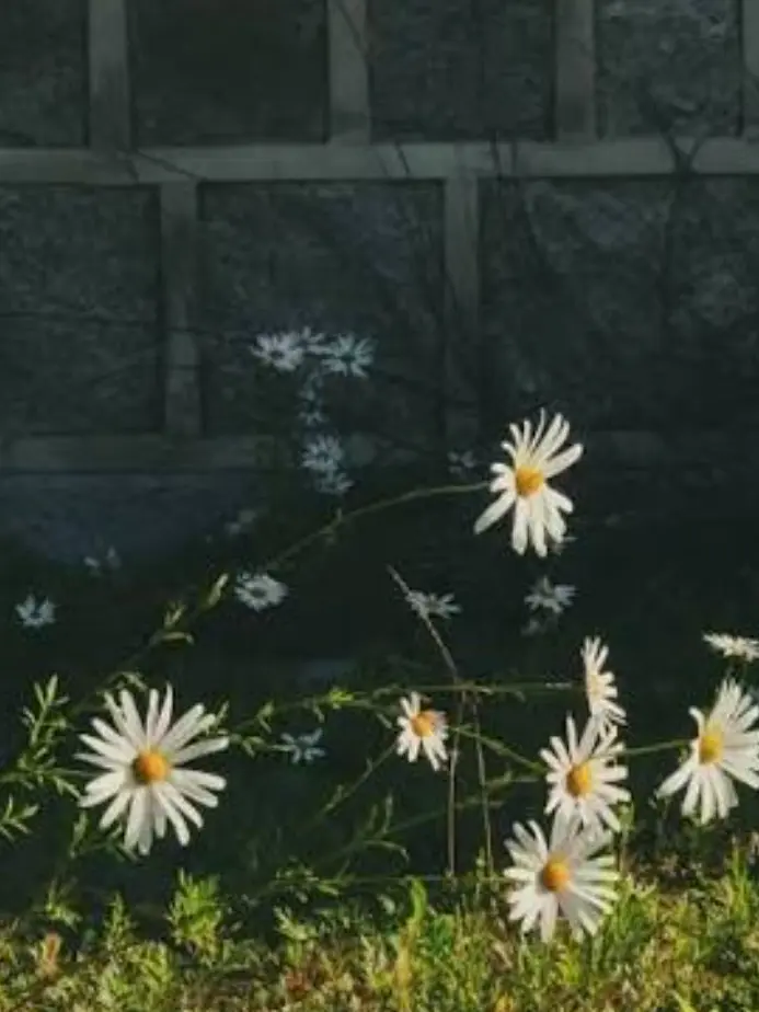 HSRD-Heptagram의 정신병원 환자들이 나에게 집착한다.