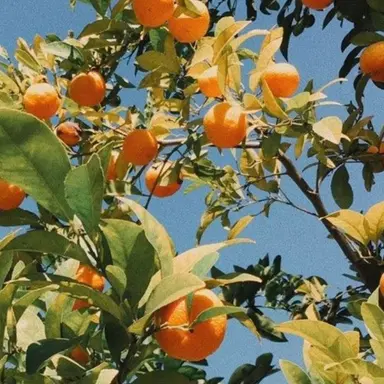 Profile image of 덕개