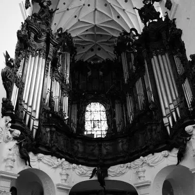 Profile image of Vincent